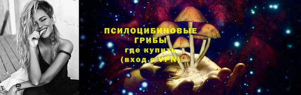 круглые Новозыбков
