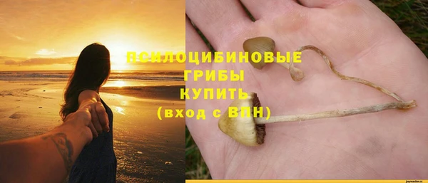 герыч Новокубанск