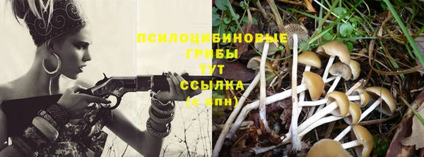 герыч Новокубанск