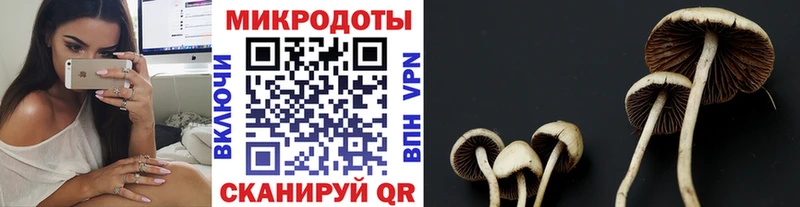 Псилоцибиновые грибы прущие грибы  наркотики  Алапаевск 