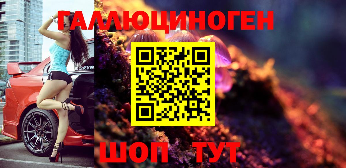 Алапаевск  где можно купить   Вход с VPN  Галлюциногенные грибы Psilocybine cubensis 